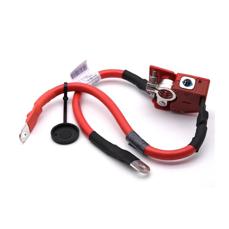 61129259425 Positive Batterie Sicherung Kabel 6112-9259-425 9214506-02 Kompatibel für BMW F30 F31 F34 F35 M3 f80 F32 F33 F36 M4 von RYWRLQRA