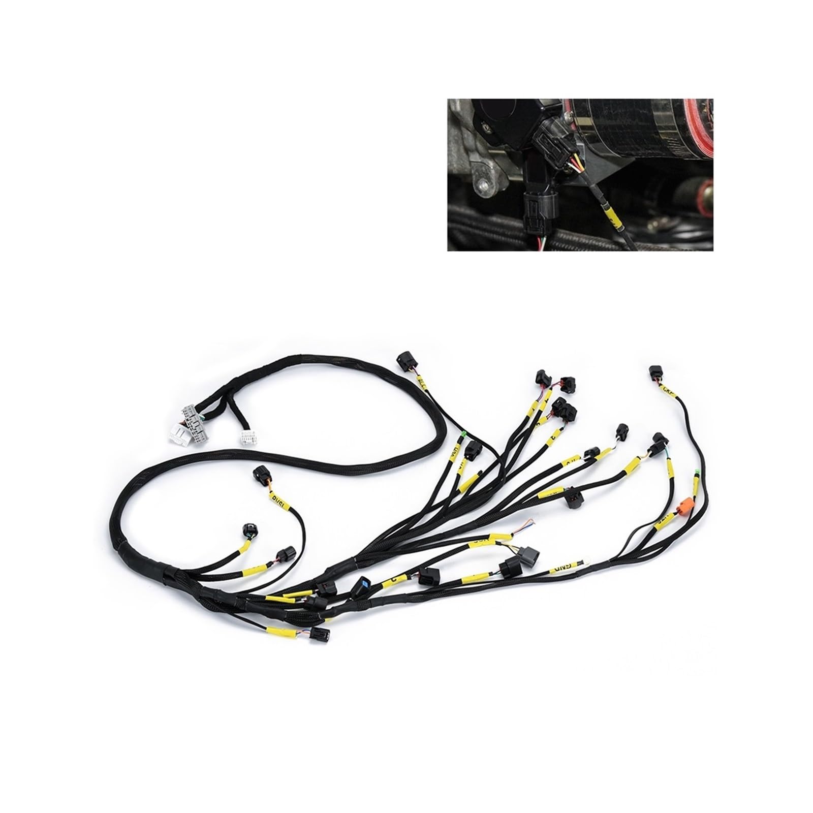 K20 K24 K-Serie Versteckter Motorkabelbaum Kompatibel für Honda Acura K-Swap Integra CRX EK EG Civic EP3 01-05 RSX 02-04 K20 K24 K-Serie Versteckter Motorkabelbaum Kompatibel für Honda Acura K-Swap Integra CRX EK EG Civic EP3 01-05 RSX 02-04 von RYWRLQRA