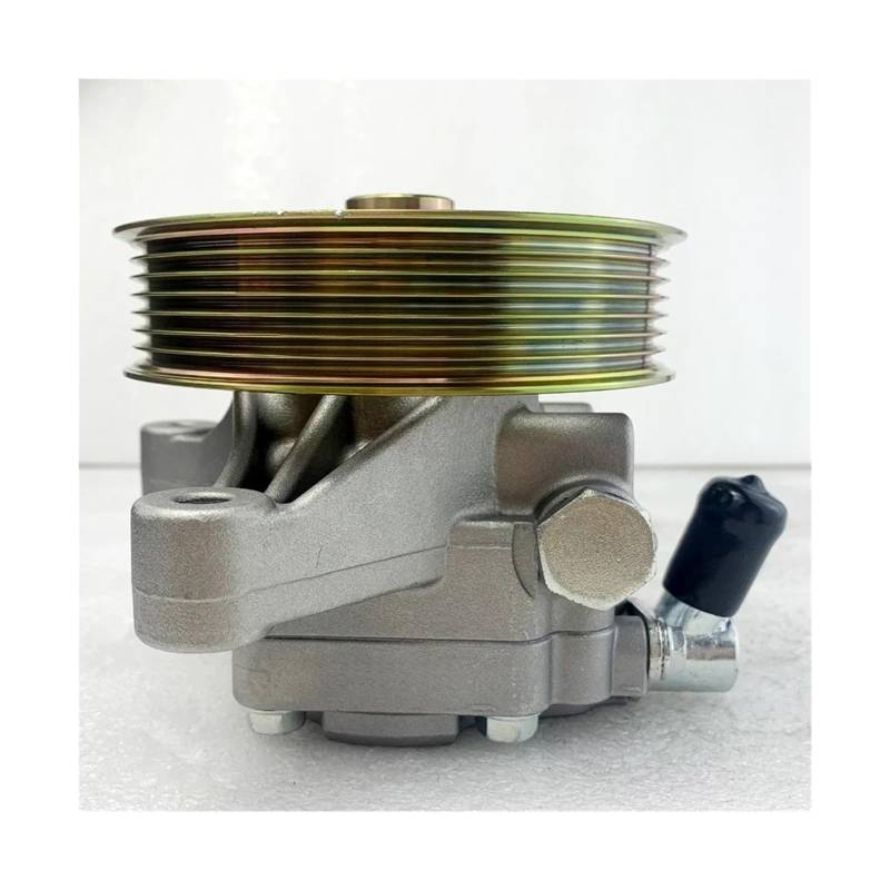 Servolenkungsölpumpe kompatibel für Stream RN3 RN1 2.0L 2000 2001 2002 2003 56110-PNA-013 56100-PNA-G02 56100PNAG02 56100-PNA-G01 von RYWRLQRA