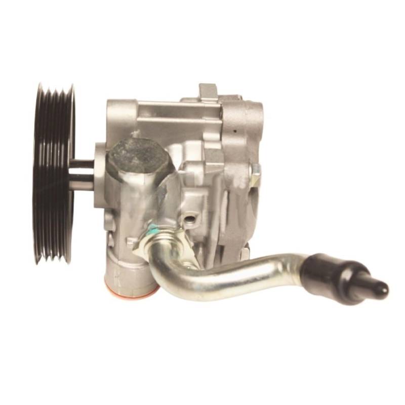 Servolenkungspumpe kompatibel für Mitsubishi Montero Sport 2000 2001 2002 2003 2004 MR418626 von RYWRLQRA