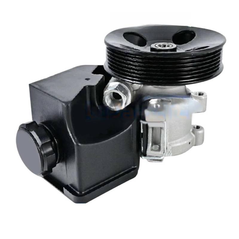 Servolenkungspumpe kompatibel für Ssangyong Actyon Kyron Rexton Korando C Musso Rodius Tivoli 6714603280 von RYWRLQRA
