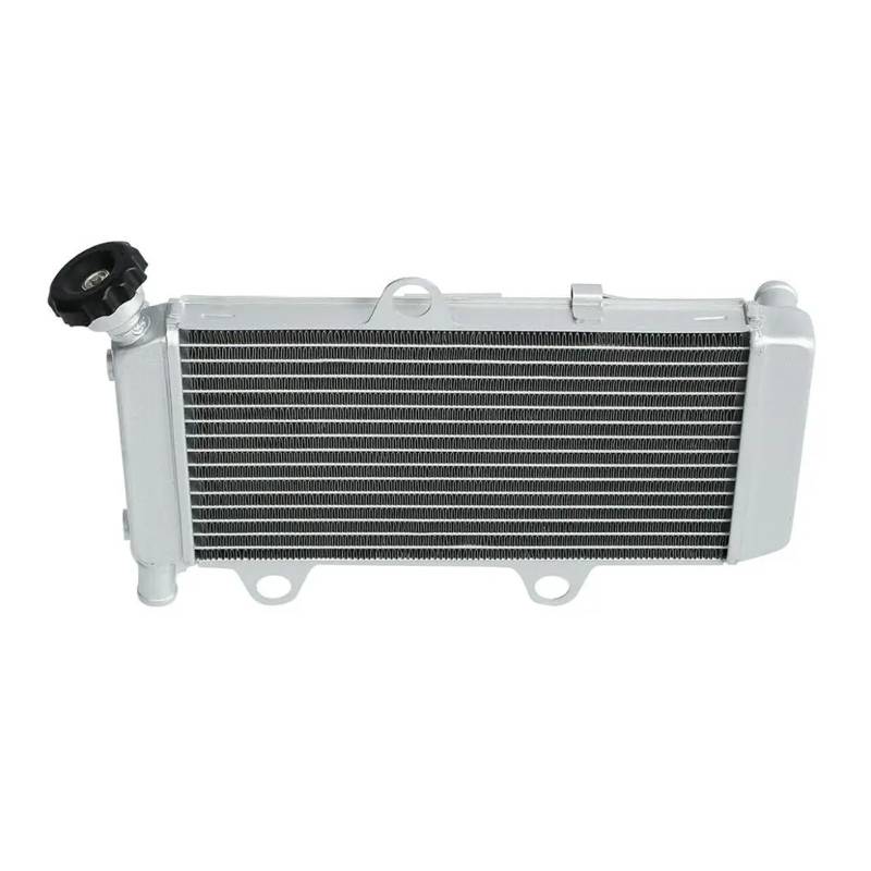For XT 660 RX 2004-2014 2013 2012 2011 2010 2009 2008 2007 2006 2005 Motorrad Silber Kühler Motor Kühlung kühler von RYXCUOLM