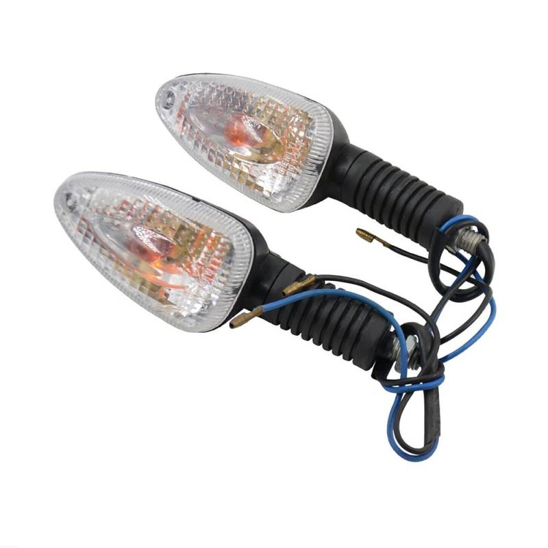 Blinker Motorrad 1 paar Motorrad Blinker Anzeige Licht Fit for BMW R850R/GS K1200GT R1100GS/R R1150R/GS Hinten lichter Lampe Zubehör Motorrad Blinker von RAAMKA
