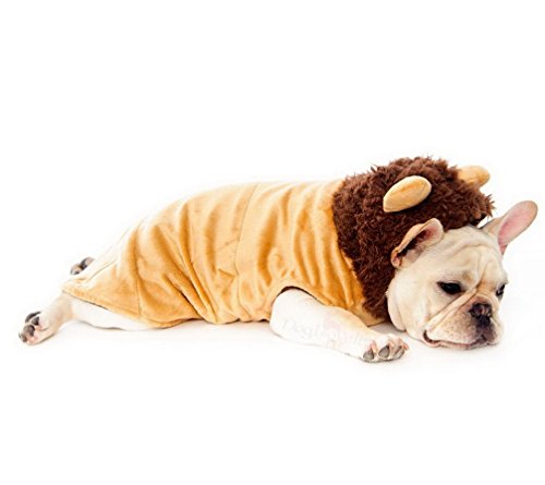 ranphy Kleine Haustiere mit Kapuze Kleidung Winter Hund Löwe Kostüm Trim Mantel hooide Welpen Weste von Ranphy