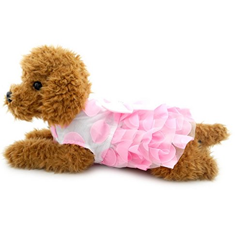 ranphy Kleiner Hund/Katze Prinzessin Tutu Kleid für Mädchen Polka Dot Röcke Kleidung Puppy Party Kleidung von Ranphy