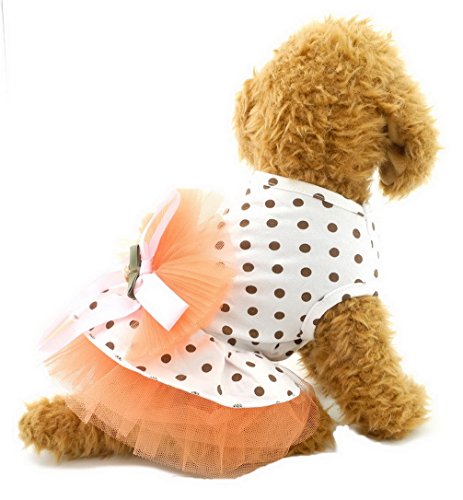 ranphy Kleiner Hund Katze Prinzessin Tutu Kleid Schleife Yorkie Rock Dots Chihuahua Kleidung für Mädchen PET T-Shirt Romantische, Lovely von Ranphy