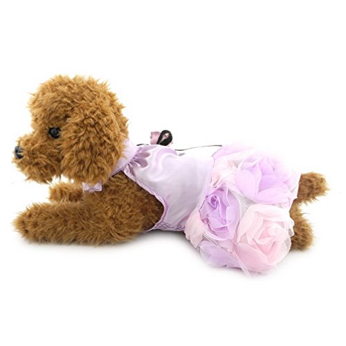 ranphy Prinzessin Kleid für kleine Hunde/Katzen Luxus Tutu Kleid Mädchen Haustier Kleidung Satin von Ranphy