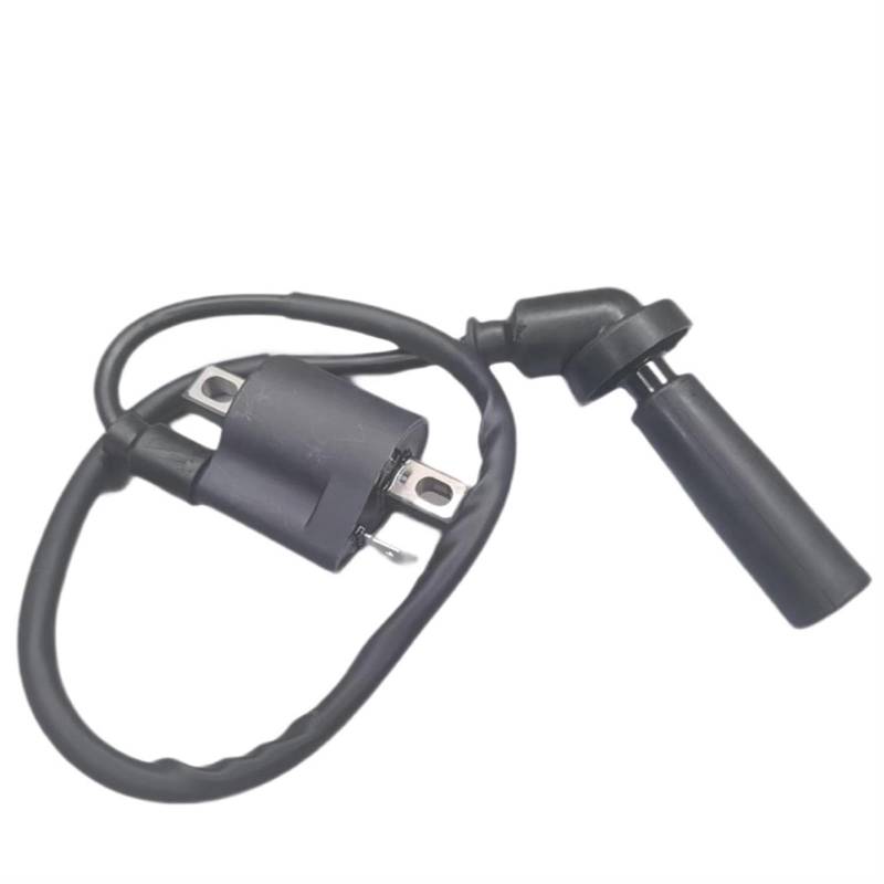 Motor Zündspule Für Hyosung Gt250 Zündspule Zündkerze Kappe Draht Boot GD250R GV125 GV250 GT125 RX125 XRX125SM RT125 HG5 HK3 HM8 Hochdruck Zündspule Motorrad Zündungen von Rdtnvc