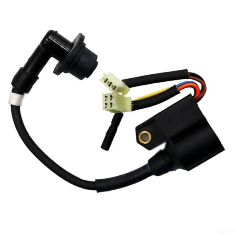 Inverter Generator Zündspule Ersatzteil Zündspule für Yamaha Inverter Generator EF2000iS Leistung 1600 2000W von ReachMall