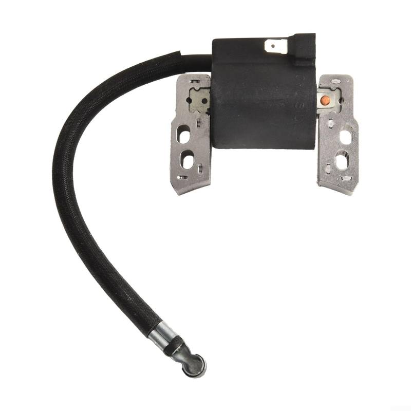 Zündspule für Magneto-Motor-Modelle, passend für Teilenummern von 695711 bis 590454 von ReachMall