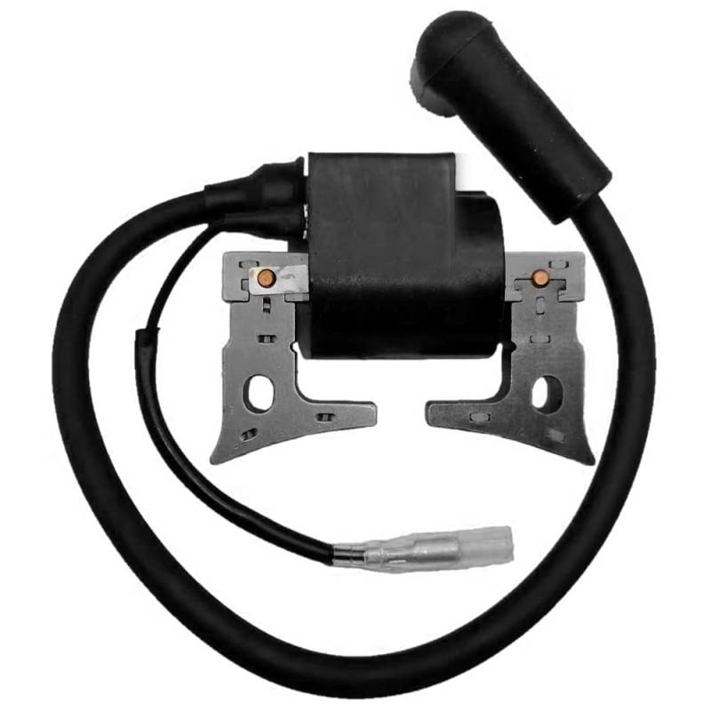 Realman 269-79430-01 269-79430-11 269-79430-31 Zündspulenmodul für Wisconsin Robin Subaru EH12 EH122 EH17 EH172 Serie Motoren EW210TR Müllpumpe von Realman