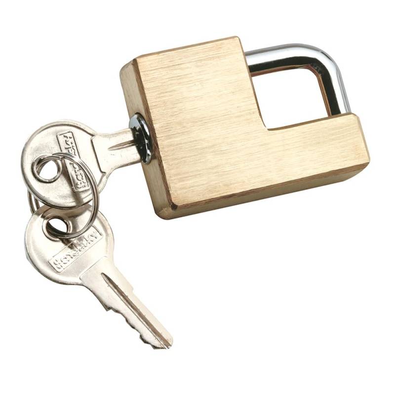Reese Towpower 7005300 Verriegelungsvorrichtungen, Messing, verstellbar 1,6 cm bis 2,5 cm von Reese