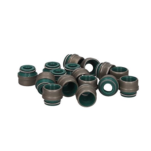 REINZ 12-31306-01 Dichtungssatz, Ventilschaft von Reinz
