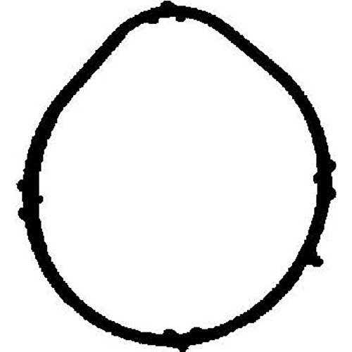 REINZ 71-35381-00 Dichtung, Ansaugkrümmer REINZ 71-35381-00 Dichtung, Ansaugkrümmer von Reinz