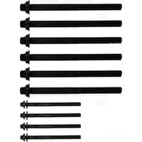 Zylinderkopfschraubensatz REINZ 14-10016-01 von Reinz