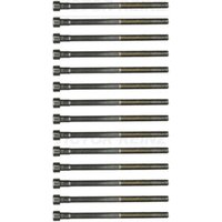 Zylinderkopfschraubensatz REINZ 14-32187-01 Zylinderkopfschraubensatz REINZ 14-32187-01 von Reinz