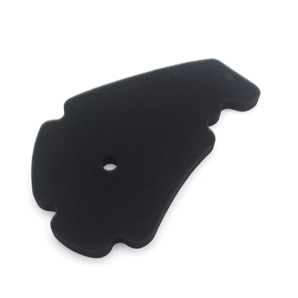 Remingtape Luftfilter-Schwammelemente für Roller 125Cc/200Cc/250Cc/300Cc/400Cc/500Cc Beverly MP3 Carnaby X7 X9 X10 von Remingtape