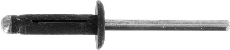 Restagraf Expandierte Nieten mit großem Kopf, Aluminium, kompatibel mit Alpine, Cupra, Dacia, DS, Fiat, Jeep, Mitsubishi, Opel, Renault – Durchmesser 4,8 mm – Länge 19,8 mm – Ref. 11555 – Beutel mit von Restagraf