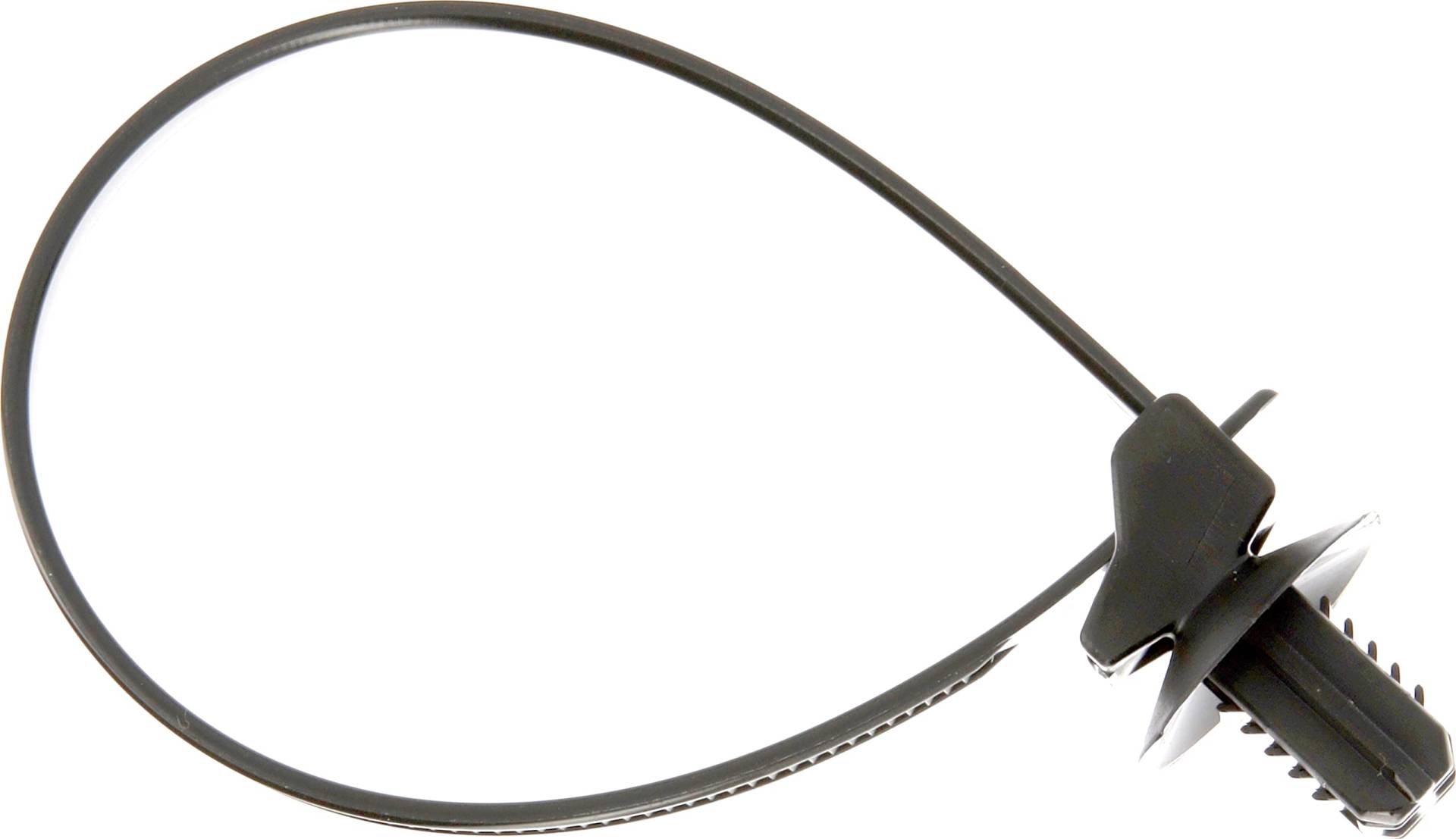 Restagraf 12402 Umhängeband, Schwarz Restagraf 12402 Umhängeband, Schwarz von Restagraf