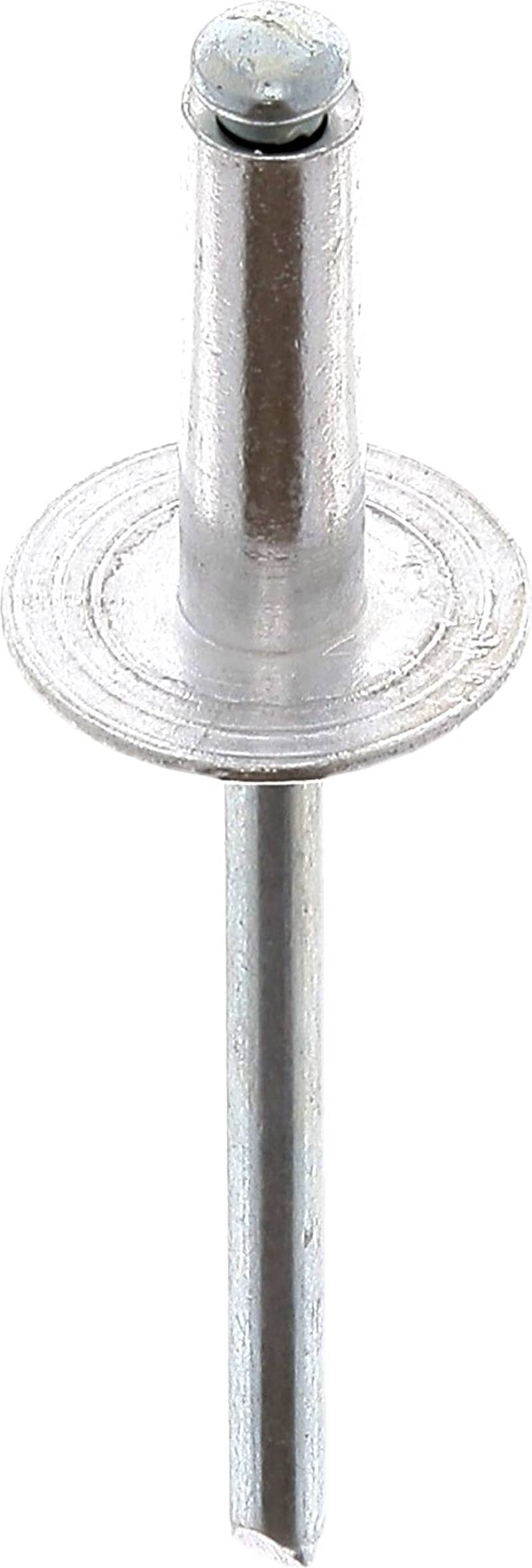 Restagraf - Niete mit großem Kopf, Aluminium & Stahlschaft – Durchmesser 4,8 mm – Länge 16 mm – Ref. 4105 – Box mit 250 Stück von Restagraf