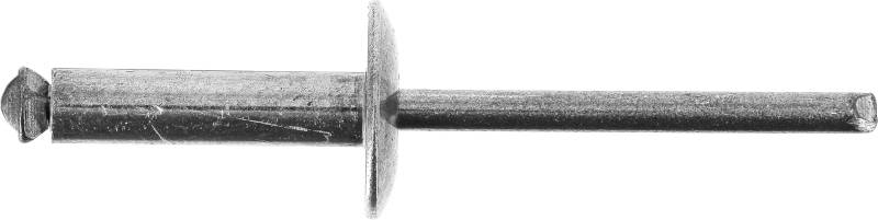 Restagraf Nieten aus Aluminium im Beutel, 11 bis 14 mm dick, 20 mm Länge, 48 Stück von Restagraf