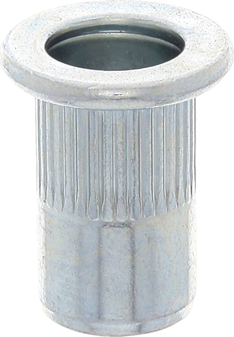 Restagraf Crimpmutter aus Stahl, rund, für Fahrzeuge PSA/Citroen, M6-1.00, 0,5-3 mm, Blechstärke, 30 Stück von Restagraf