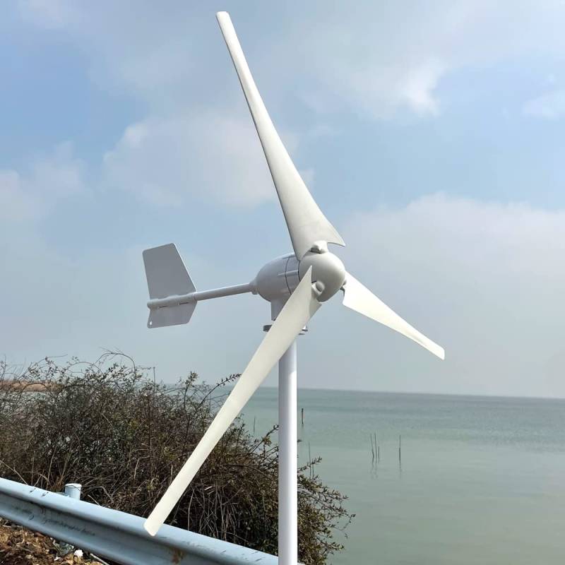 1500W Windkraftanlage Generator 24V 48V Windrad Stromerzeugung für den Heimgebrauch Windturbine Hohe Effizienz Windmühle (24V) von Rewindagic