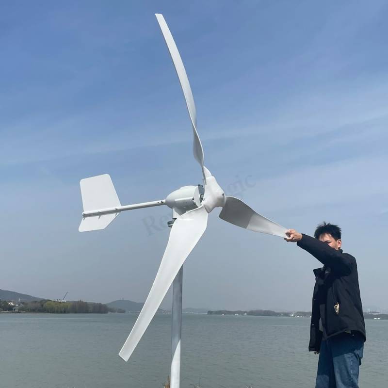 3000W Windkraftanlage Windgenerator 24V 48V 96V Permanentmagnet Generator Windturbine für Hausgebrauch Gartenboot Straßenlaterne Windenergie (48v Windkraftanlage Nur) von Rewindagic