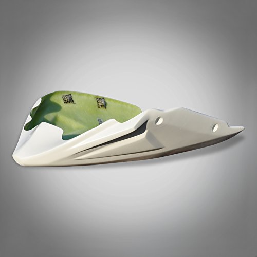DR407 RicambiWeiss Bugspoiler kompatibel mit Kawasaki Z1000 03-06 GFK Bugverkleidung Verkleidung NEU DR407 RicambiWeiss Bugspoiler kompatibel mit Kawasaki Z1000 03-06 GFK Bugverkleidung Verkleidung NEU von Ricambi Weiss