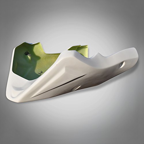 DR486 RicambiWeiss Bugspoiler kompatibel mit Kawasaki ZX-R 750 90-95 GFK Bugverkleidung Verkleidung NEU von Ricambi Weiss