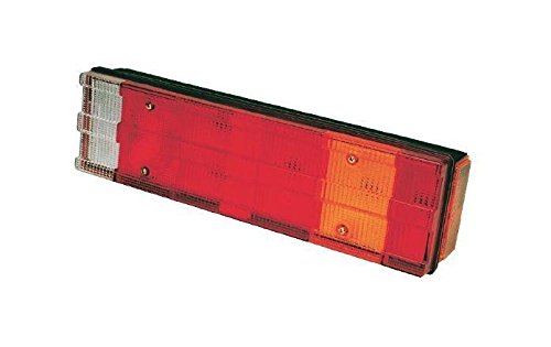 Rinder 13698100 von Rinder