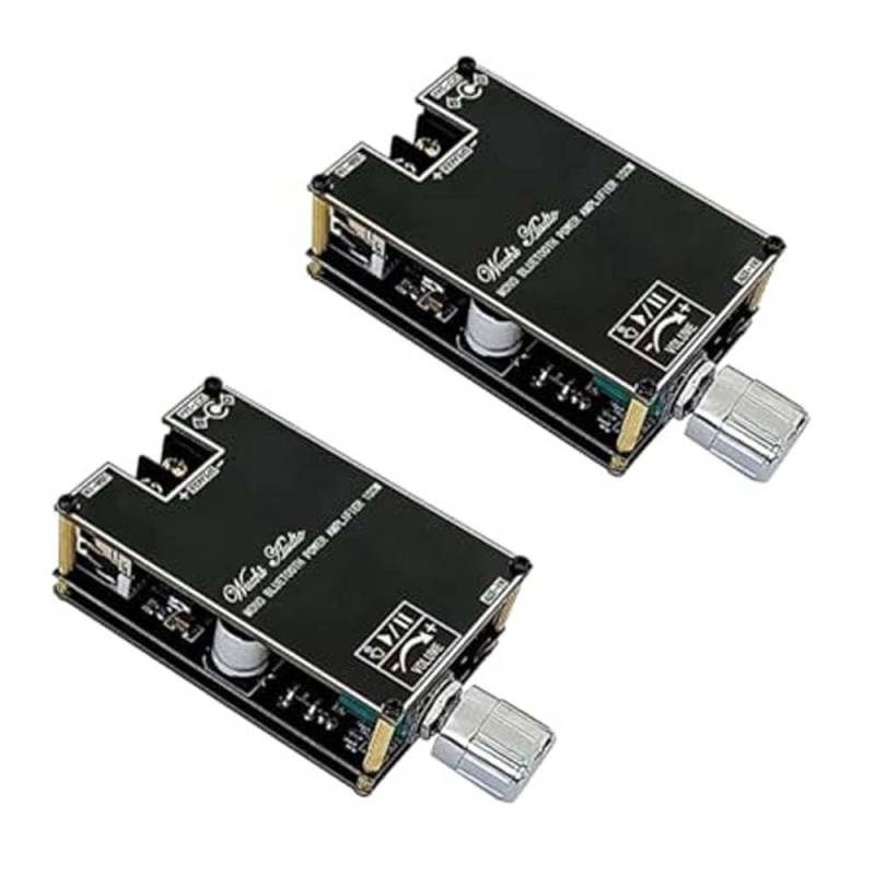 2PCS ZK-1001B DC 7-24V 100W Mono Audio Power Amplifier Module von Rivermidfish DE
