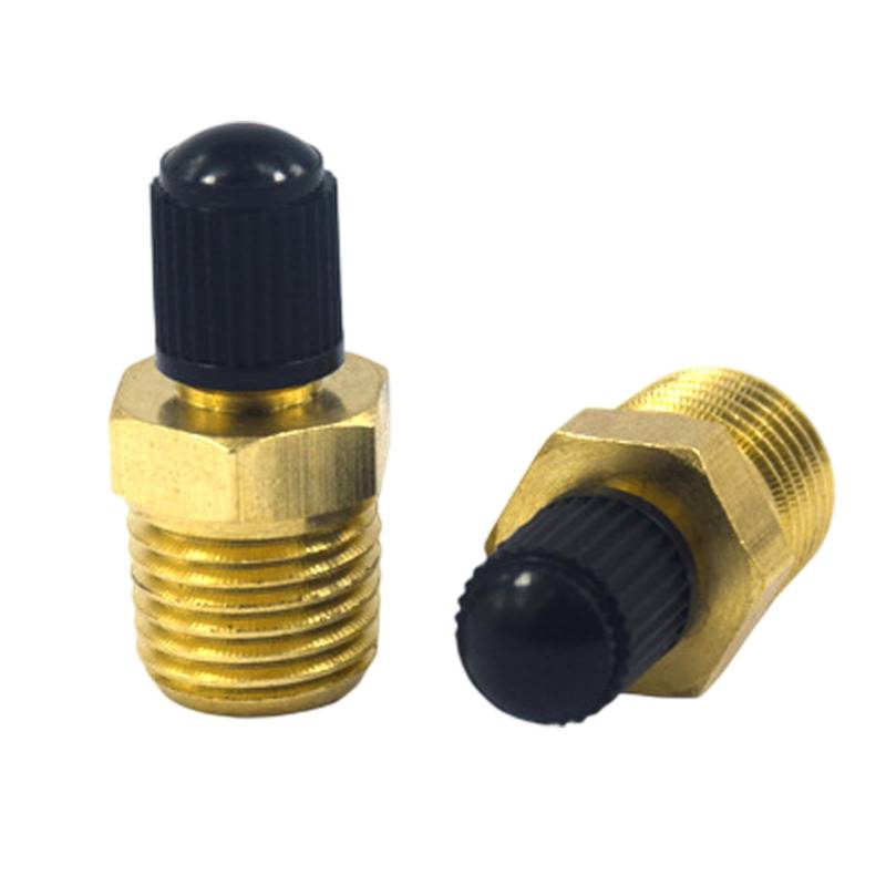 1/4" NPT Messing Luchtcompressor 2 Stück 1/4 Zoll Messing Reifen Luftkompressor Luftventil Prüfventil Autoventil Tank Füllventile Reifenventil 1/4" Adapter Felgenventile für Auto PKW LKW von Rixotix