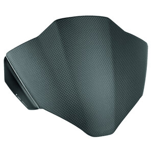 Windschild mit Montagesatz, Carbon für Ducati Streetfighter V4 Modelle Rizoma von Rizoma