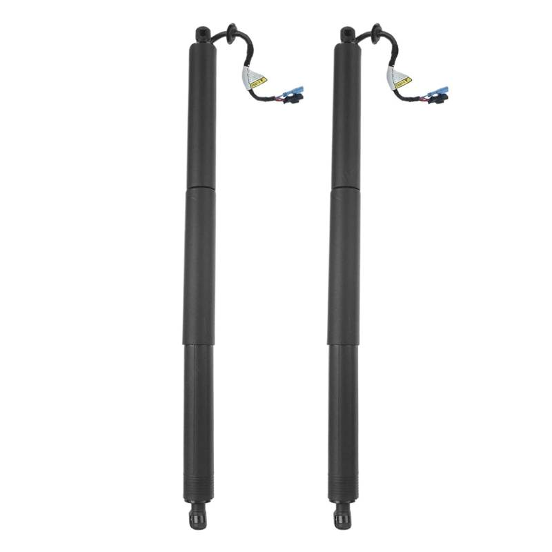 51249465654 hinten Power Lift Unterstützung Mit Power Opener Kompatibel Für Bmw X2 F39 2017-2021 Elektrische Heckklappe Gas Streben(1pair) von RoOfys