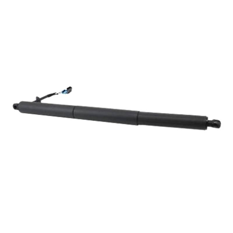 Auto (LH RH Universal) heckklappe Bleiben Kompatibel Für BMW X2 F39 2017-2020 Elektrische Kofferraum Air Spring Lift Unterstützung 51249465654 von RoOfys
