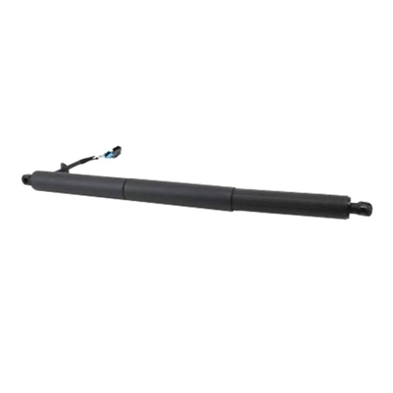 Auto (LH RH Universal) heckklappe Bleiben Kompatibel Für BMW X2 F39 2017-2020 Elektrische Kofferraum Air Spring Lift Unterstützung 51249465654 von RoOfys