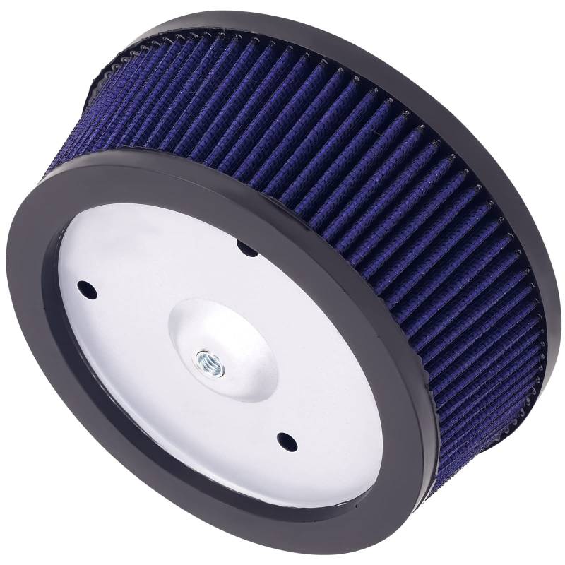 Road Passion Luftfilter 29244-08 HD-0818 Kompatibel mit Harley FLSS Softail Slim S 2016-2017 / Harley Electra Glide 2008-2015 / Harley Road Glide 2008-2015 von Road Passion
