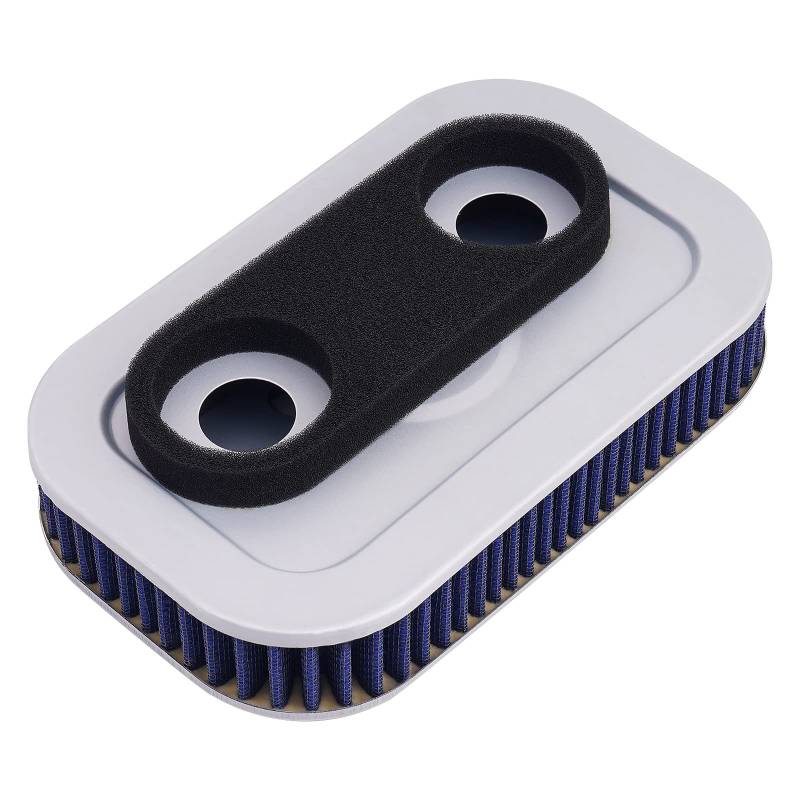 Road Passion Luftfilter Motorrad Motorrad-Luftfilter Kompatibel mit 29036-88B 29331-96 Harley Sportster Custom XL53C 2000 von Road Passion