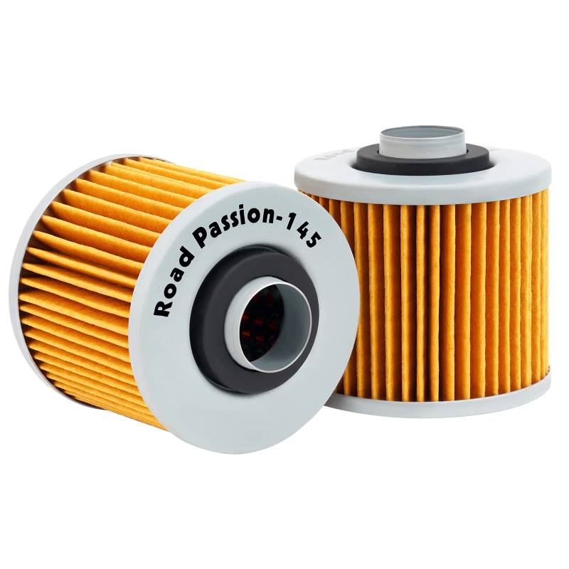 Road Passion Ölfilter für YAMAHA TT600RE 2004 TT600R 2001-2003 XT600E 1991-2003 XTZ660 TENERE 660 1991-1999 SZR660 660 1996-1998(2 Stück) von Road Passion