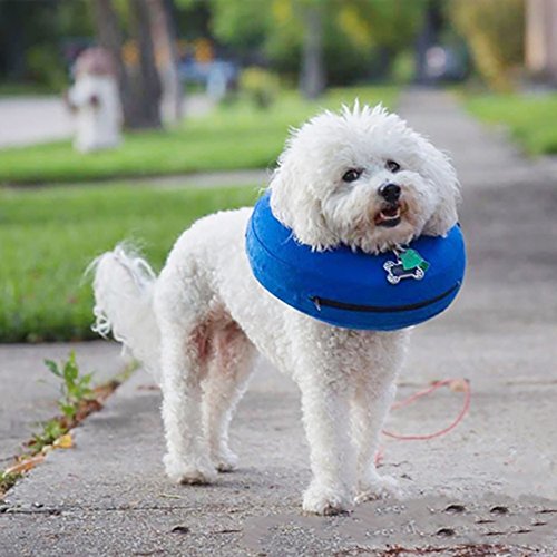 Roblue Hunde Schutzkragen Aufblasbar mit Schnalle Haustier Wiederherstellung Weiches Schutzhalsband Blau Oder Grau S M L XL von Roblue