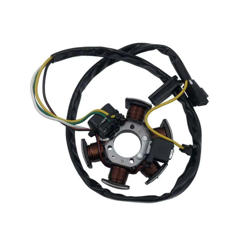 Stator Zündspule Für DT50 Für TZR 50 Zündung Charing Spule Generator Racing Roller Moped Stator Schwungrad Magnet Motorrad Stator Spule von Ropaix