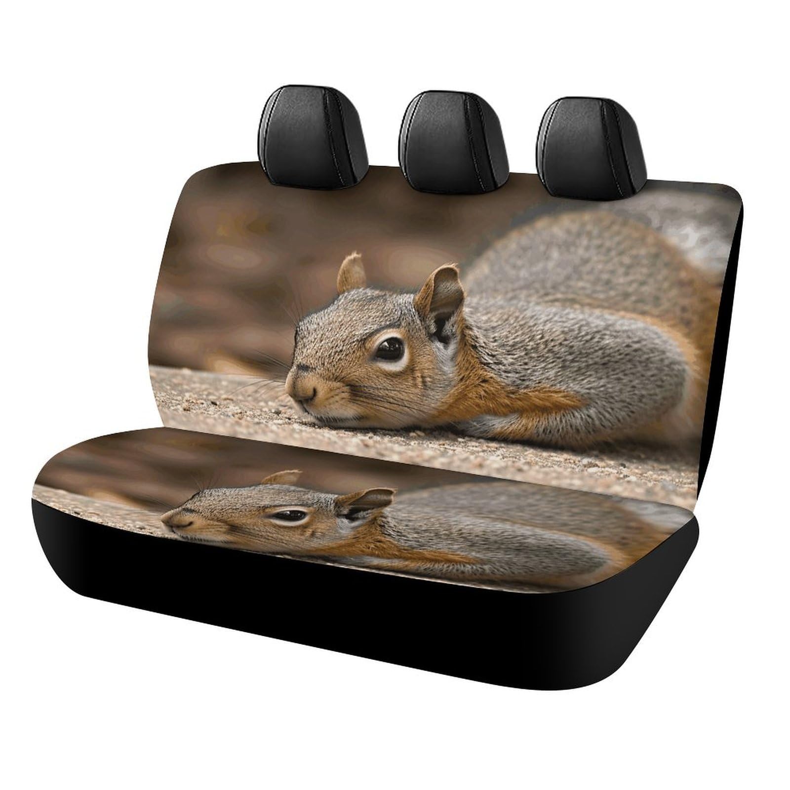 Rrtsmsgh Squirrel Auto-Rücksitzbezüge für die meisten Autos, einfach zu installieren, rutschfest, langlebig, universelles Autositzkissen für Haustiere, verschüttete Flüssigkeiten Rrtsmsgh Squirrel Auto-Rücksitzbezüge für die meisten Autos, einfach zu installieren, rutschfest, langlebig, universelles Autositzkissen für Haustiere, verschüttete Flüssigkeiten von Rrtsmsgh