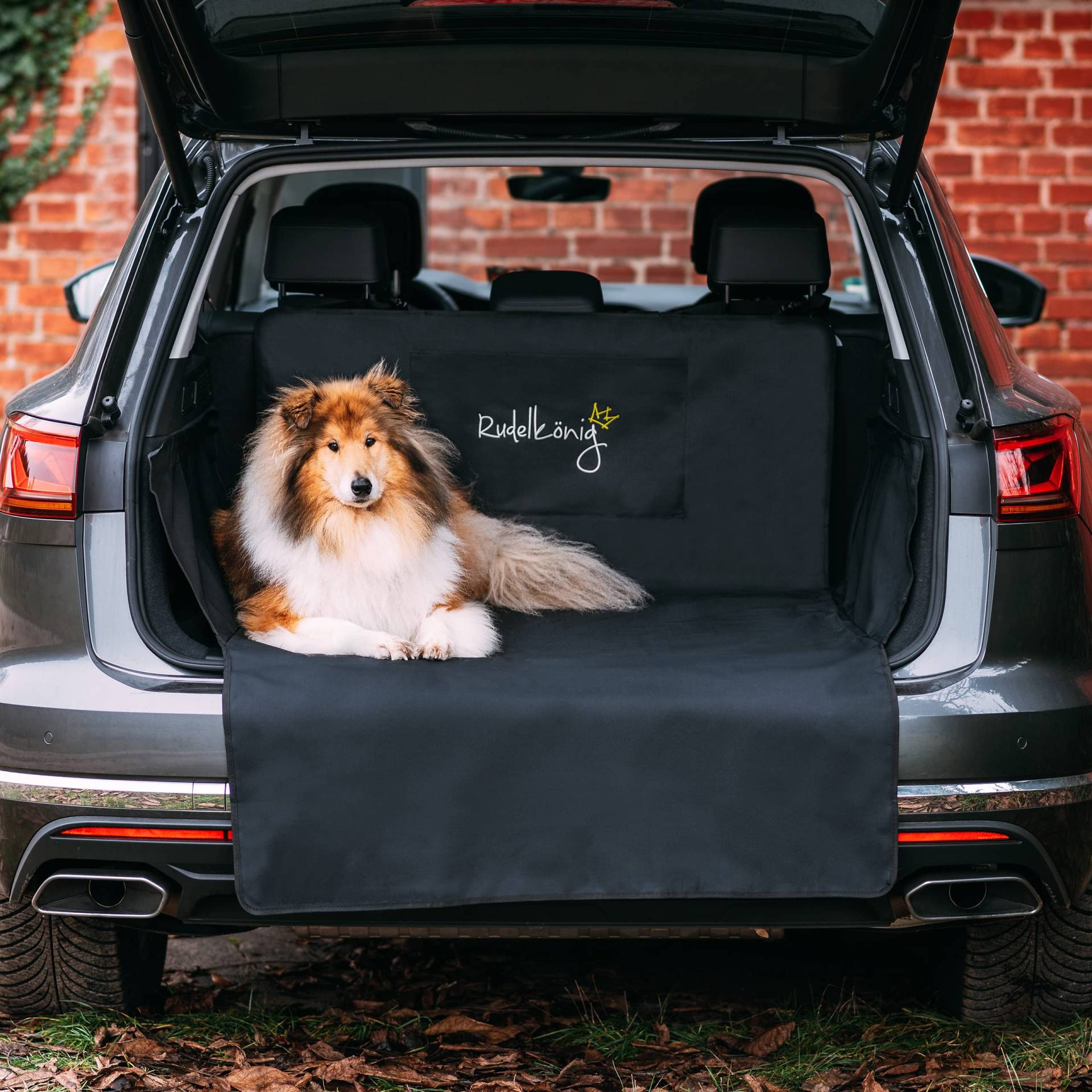 Rudelkönig Kofferraumschutz mit Ladekantenschutz - Wasserabweisend & Pflegeleicht - Auto Hundedecke mit Aufbewahrungstasche - Universale Schutzmatte für Hunde von Rudelkönig