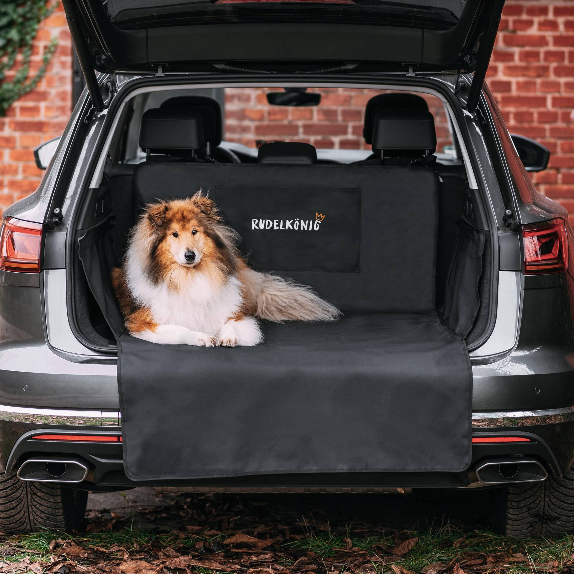 Rudelkönig Kofferraumschutz mit Ladekantenschutz - Wasserabweisend & Pflegeleicht - Auto Hundedecke mit Aufbewahrungstasche - Universale Schutzmatte für Hunde Rudelkönig Kofferraumschutz mit Ladekantenschutz - Wasserabweisend & Pflegeleicht - Auto Hundedecke mit Aufbewahrungstasche - Universale Schutzmatte für Hunde von Rudelkönig