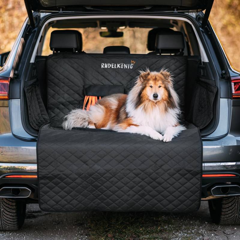 Rudelkönig Kofferraumschutz Hund mit Ladekantenschutz - Wasserabweisend & Kratzfest - Gesteppte Auto Hundedecke mit Tasche - Universale Kofferraum Schutzmatte für Hunde von Rudelkönig