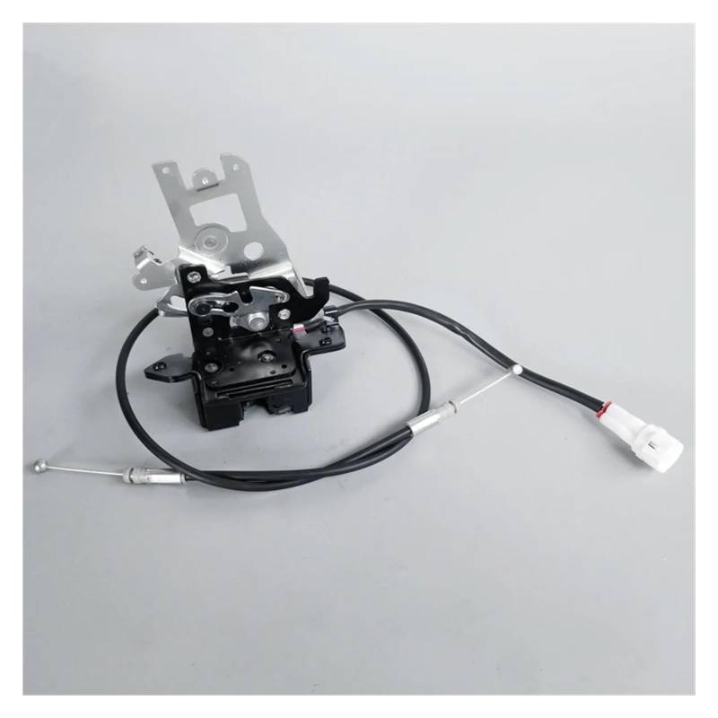 Heckklappenschloss Für Toyota Für Sequoia 2001 2002 2003 2004 2005 2006 2007 Zurück Türschloss Heckklappe Latch Heckklappenverriegelung(Lock with cable) von Rugnipw
