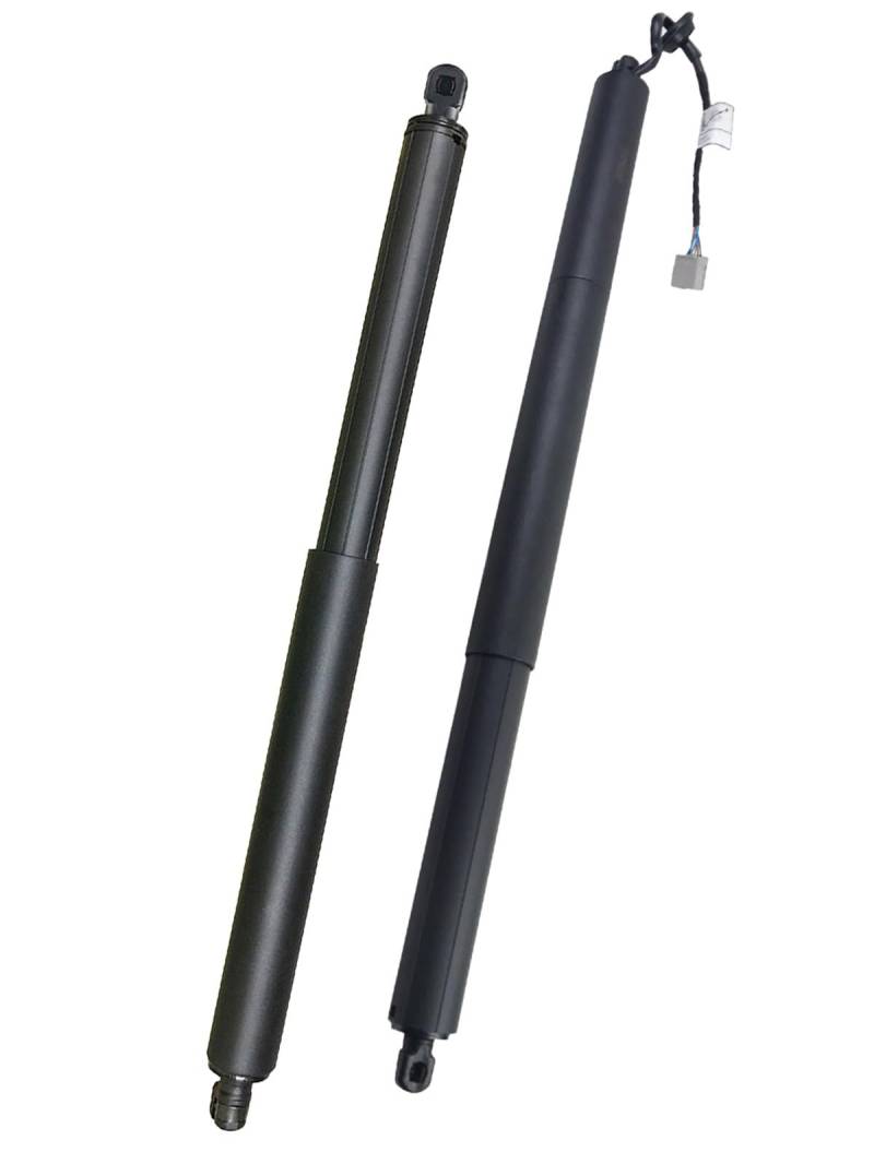 Kofferraum Gasfeder Für Ford Für Explorer 2011 2012 2013-2015 Power Hatch Lift Unterstützung Opener Shock Power Hinten Hatch Streben BB5Z14B351A FB5378402A55BA Hinten Heckklappe Dämpfer(Links und re von Rugnipw