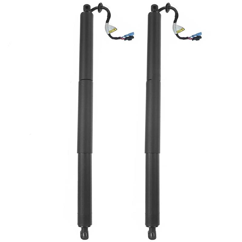 Kofferraum Gasfeder Für X2 F39 2017 2018 2019 2020 2021 51249465654 Hinten Power Lift Unterstützung Mit Power Opener Elektrische Heckklappe Gasdruckfedern Hinten Heckklappe Dämpfer(A Pair) von Rugnipw