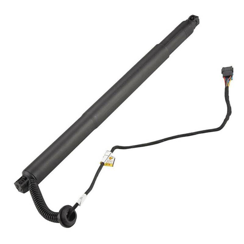 Kofferraum Gasfeder Für X6 F16 2015-2019 Power Hatch Lift Unterstützung Opener Shock Elektrische Heckklappe Streben 51247318651 51247318652 Hinten Heckklappe Dämpfer(Left Side) von Rugnipw